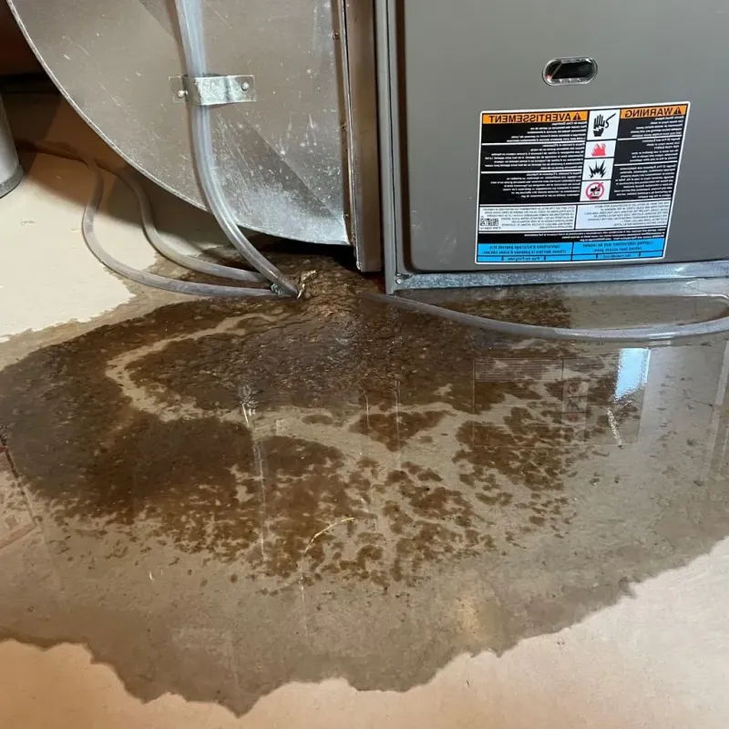 Pipe Burst and Leak Restoration in San Lorenzo, CA